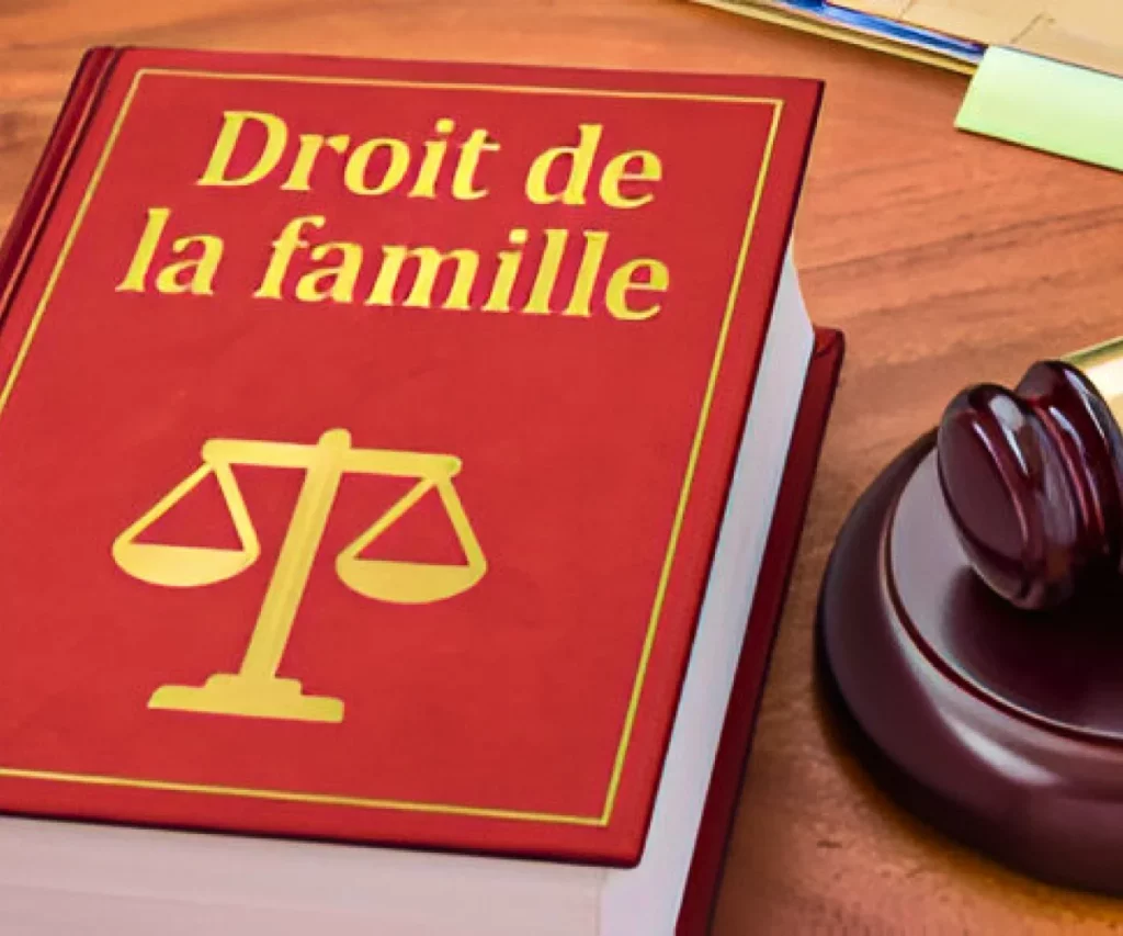 Maitre Depasse Labed Avocate Au Barreau Rennes Avocate De Droit De Travail 1